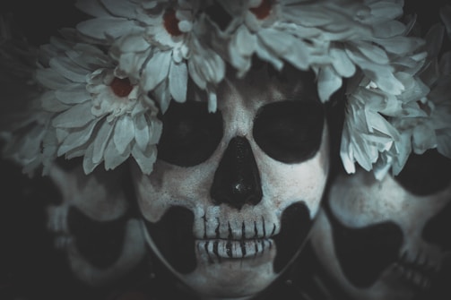 A close-up view of three intricately painted skull masks, adorned with white flowers forming a crown. The masks display detailed black and white patterns reminiscent of Day of the Dead (Día de los Muertos) face paint. The flowers add a contrasting softness to the otherwise dark and eerie skull imagery.