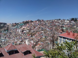 houses under the blue sky