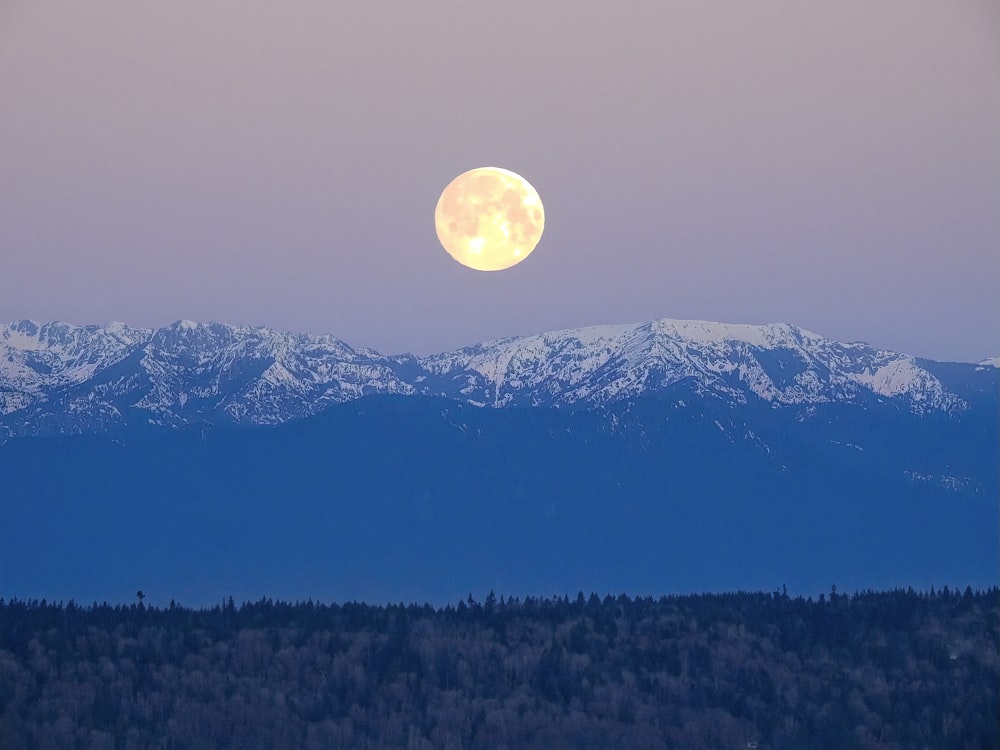 moon under mountain range