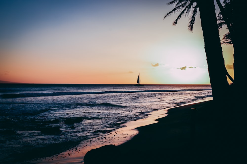 silhouette of sailboat on ocean