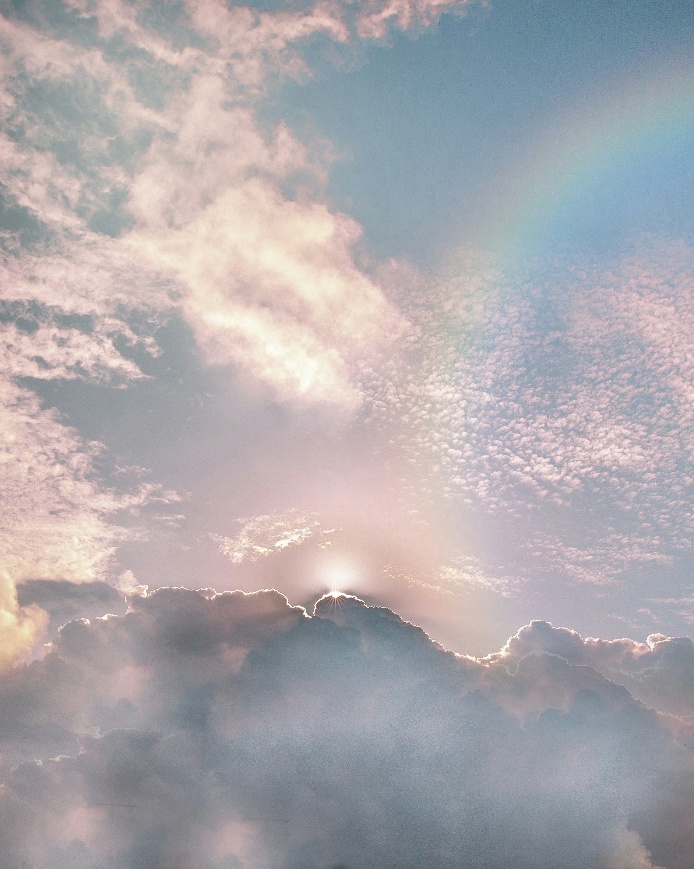 Blue Sky Pink Clouds Rose Wallpaper Hd Wallpaper