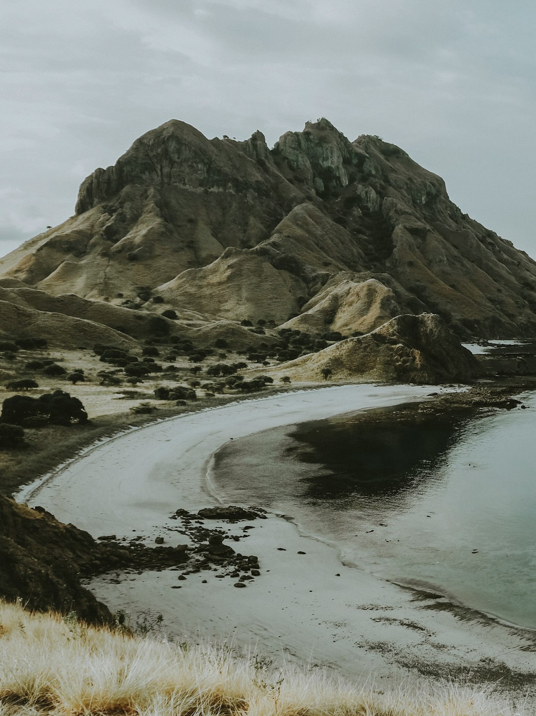 seashore near mountain