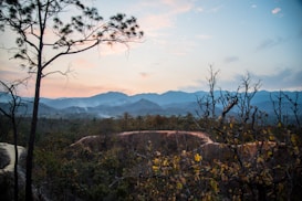 A breathtaking landscape featuring a serene sunset or sunrise over rugged mountains. The sky is filled with gentle hues of pink and blue, with scattered clouds. In the foreground, there are trees with sparse leaves and a winding dirt path cutting through a dense forest. The overall scene exudes a tranquil and natural beauty.