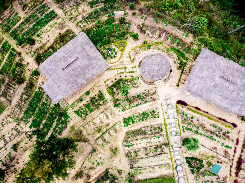 Landscape Architecture.