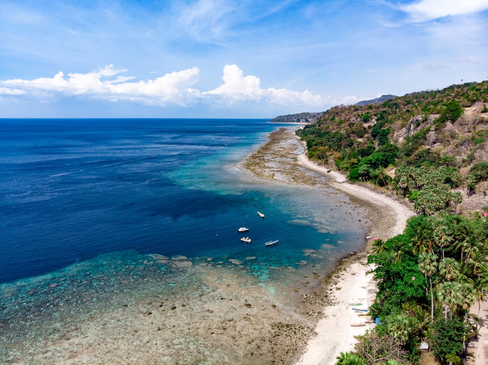 aerial photo of sea beside island