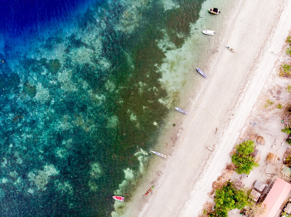 beach sand with boats on daytime