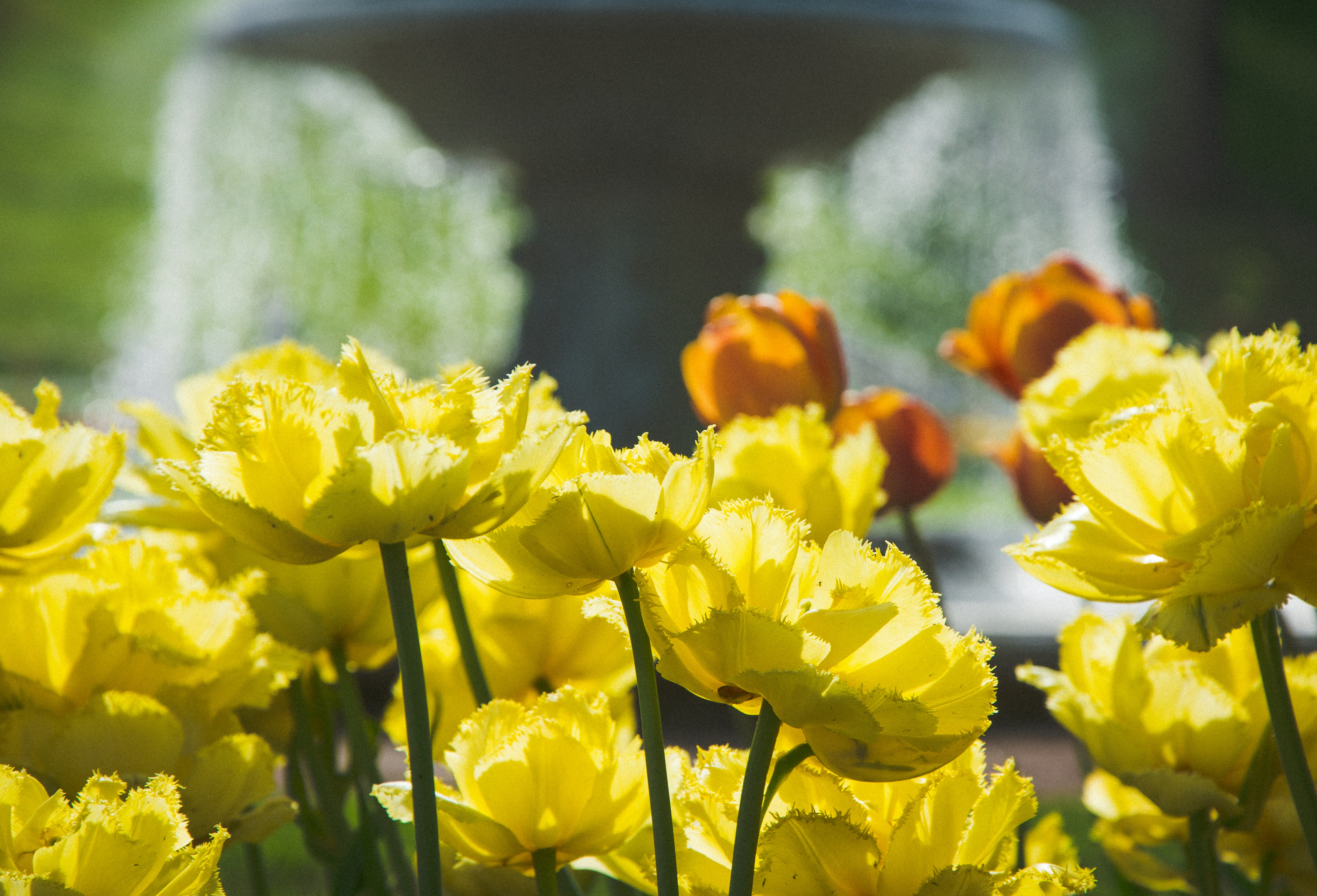 붓끝에서 피어나는 마법, 미술학 속 숨겨진 이야기 보따리🎨
