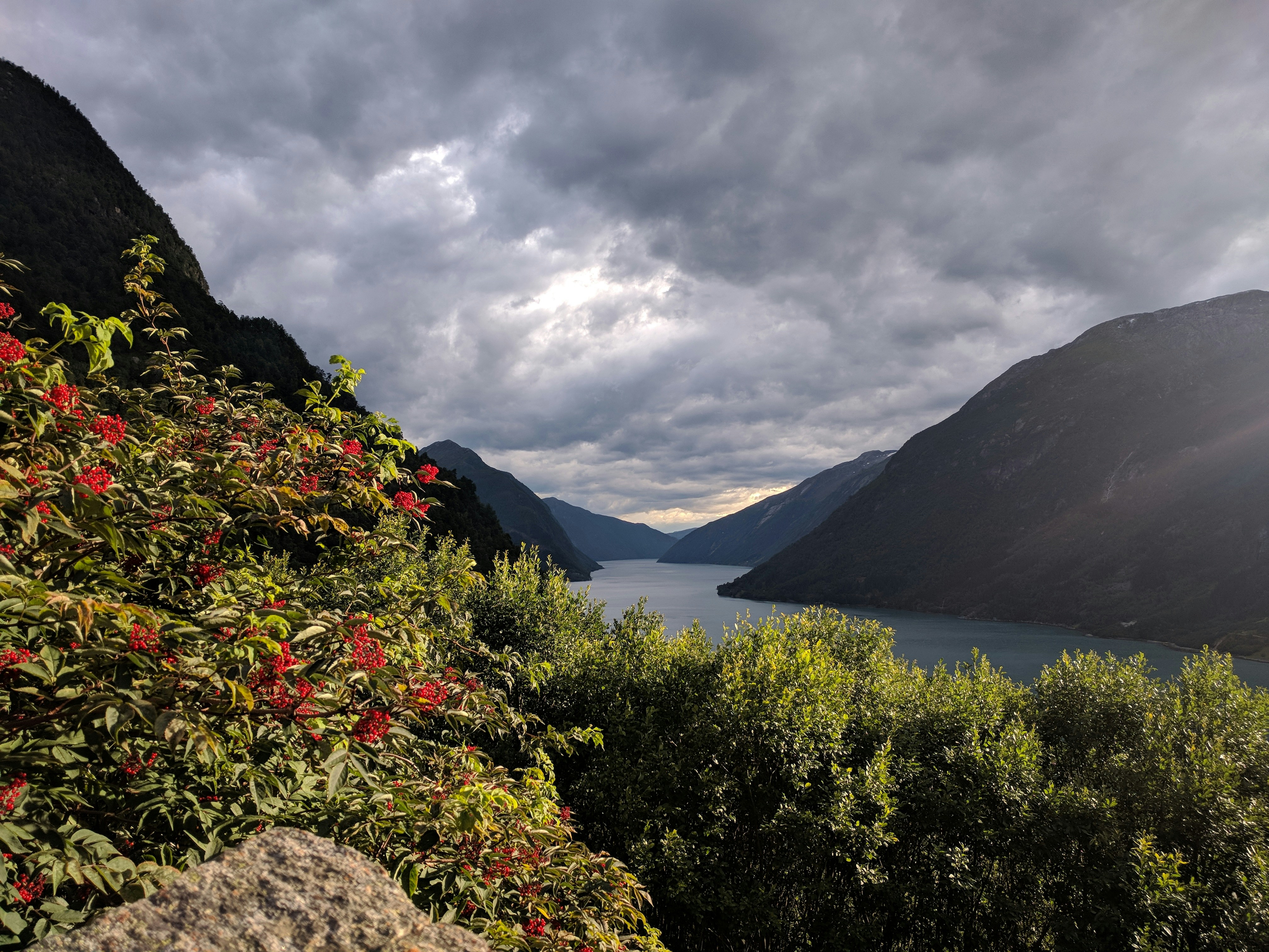 Vista sul fiordo norvegese Sognefjord 