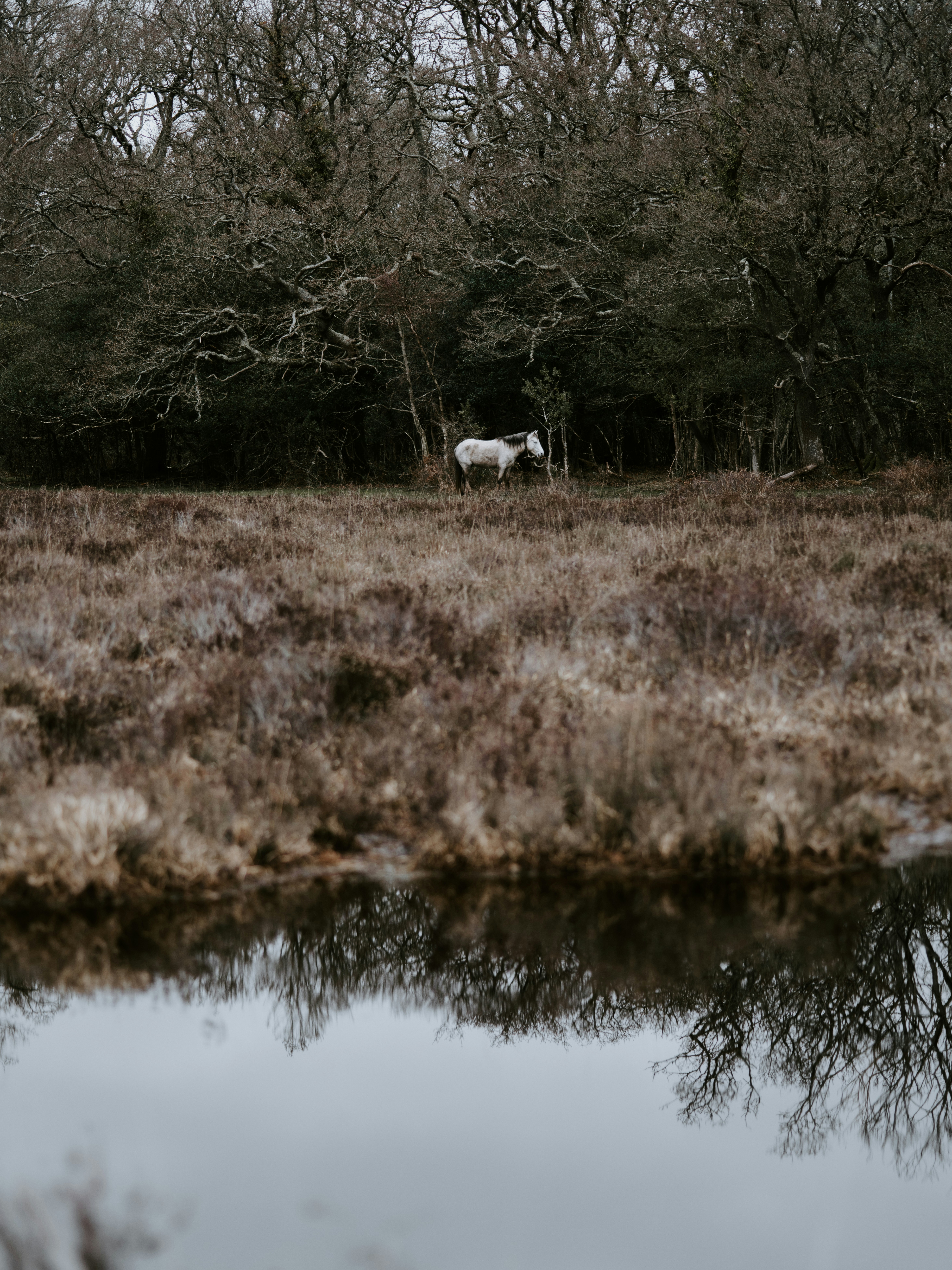 Photo by anniespratt