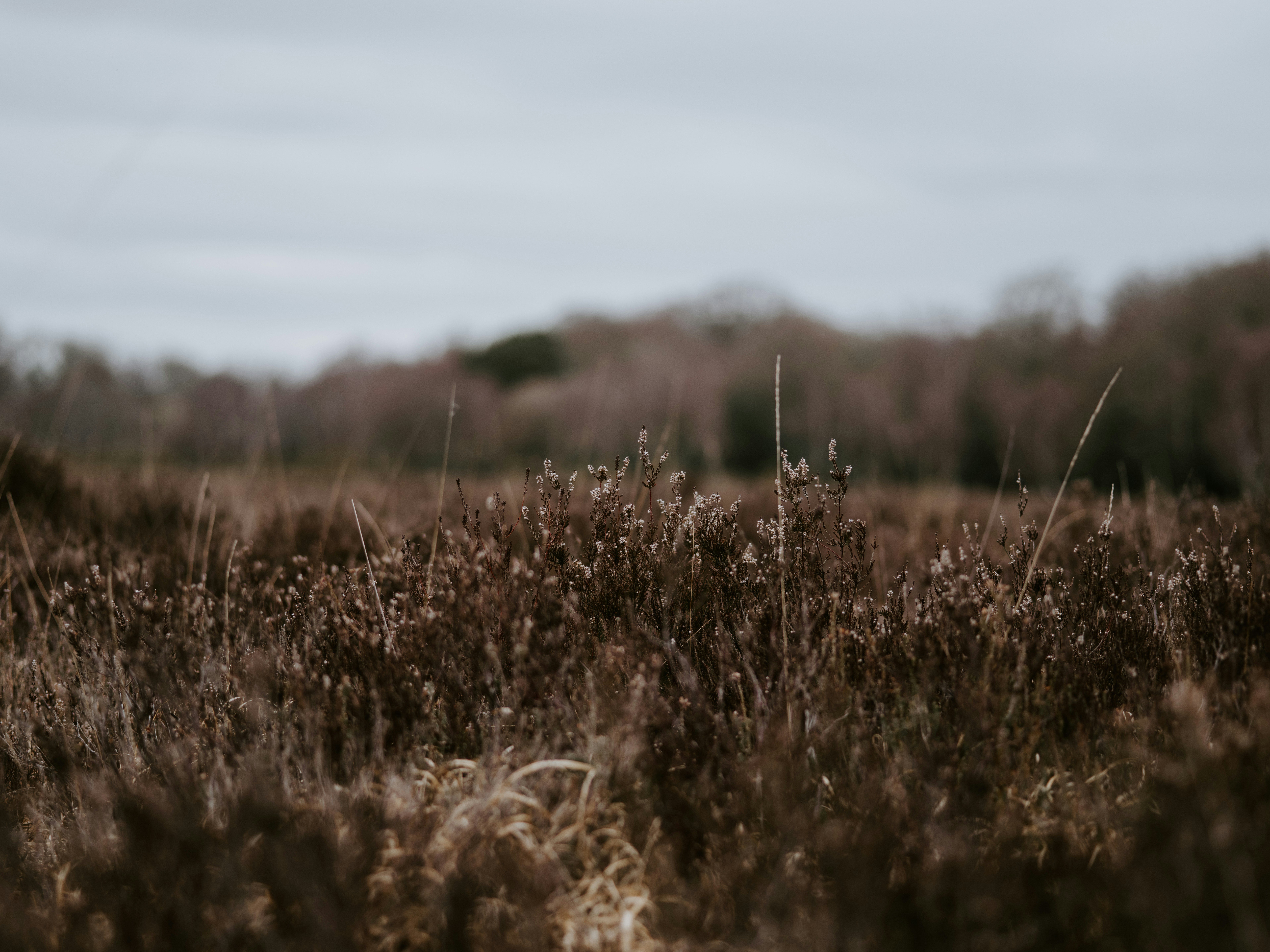 Photo by anniespratt