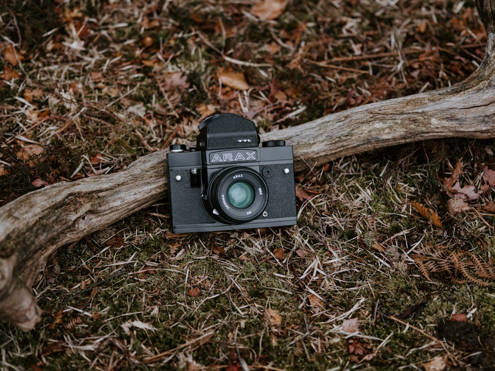 câmera Arax preta na madeira de deriva
