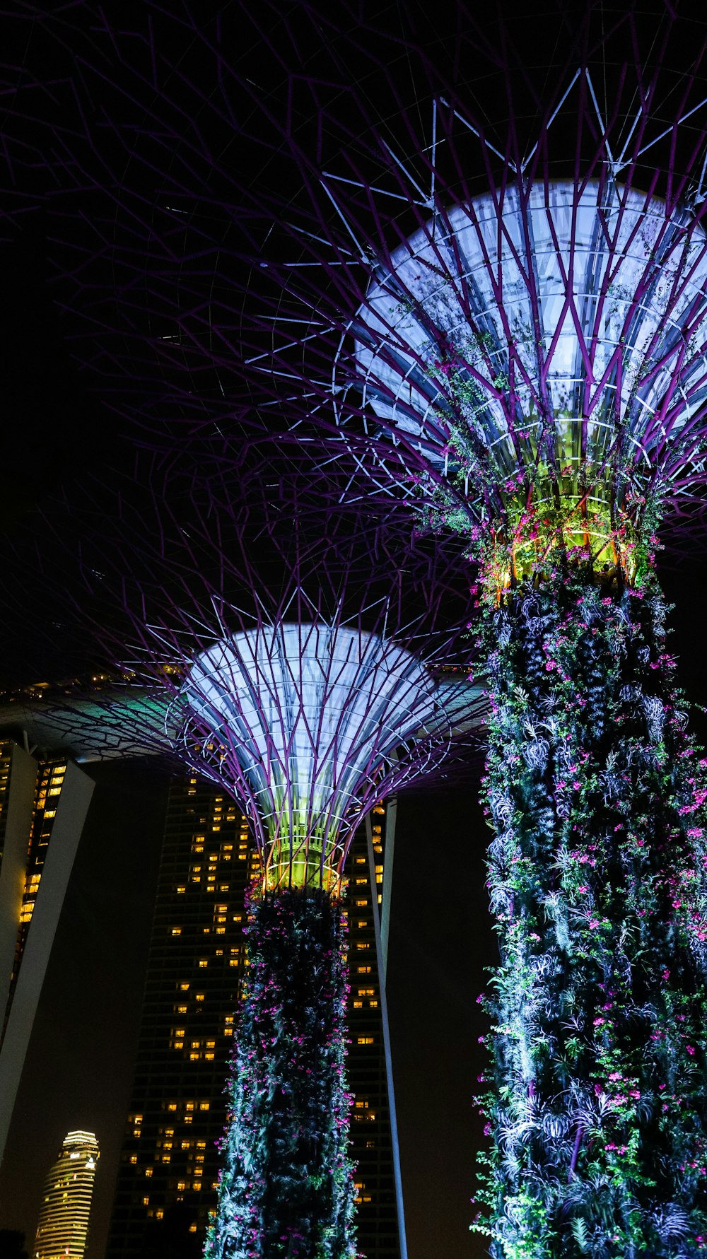 Bâtiment d’orchidée Singapour