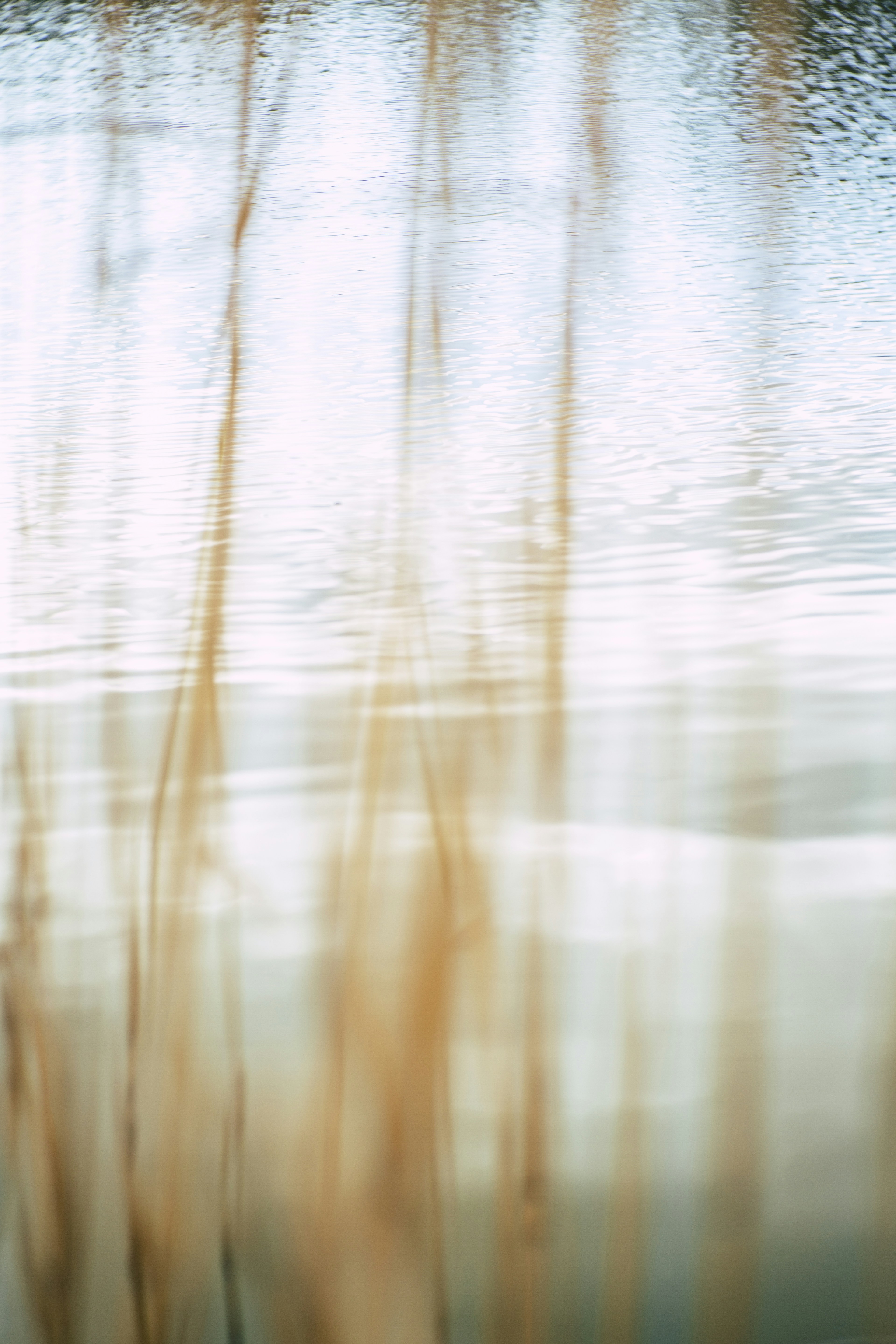 Photo by markusspiske