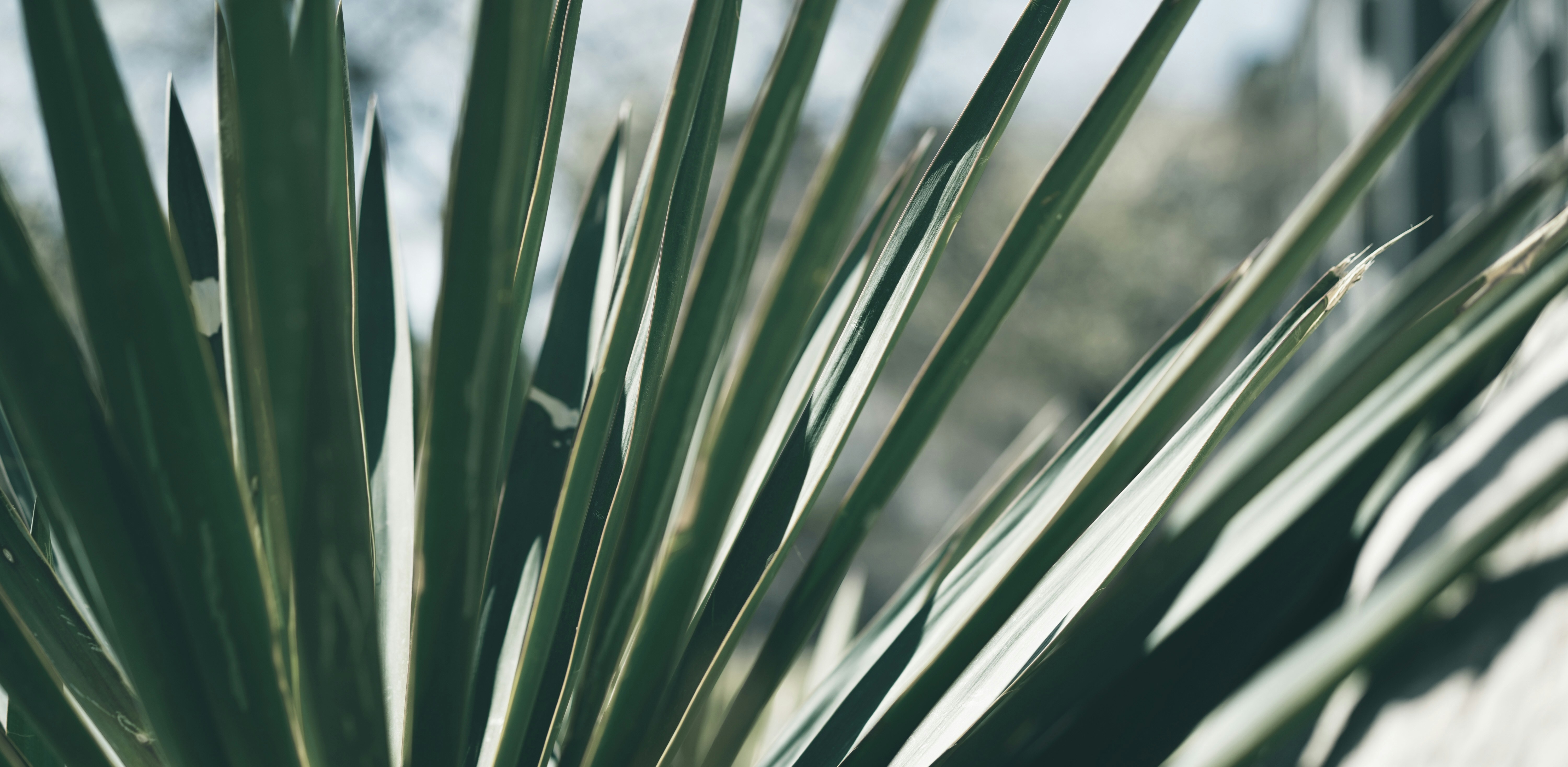 Photo by alexander_tsang