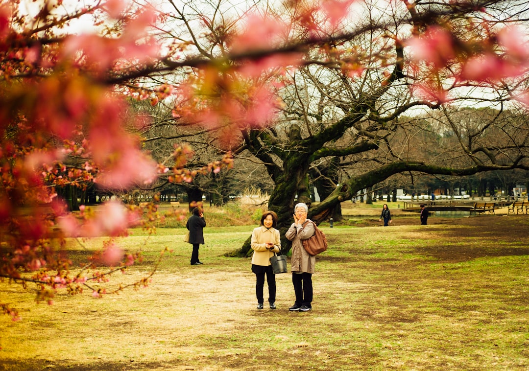 two women standing near cherry blossoms tree