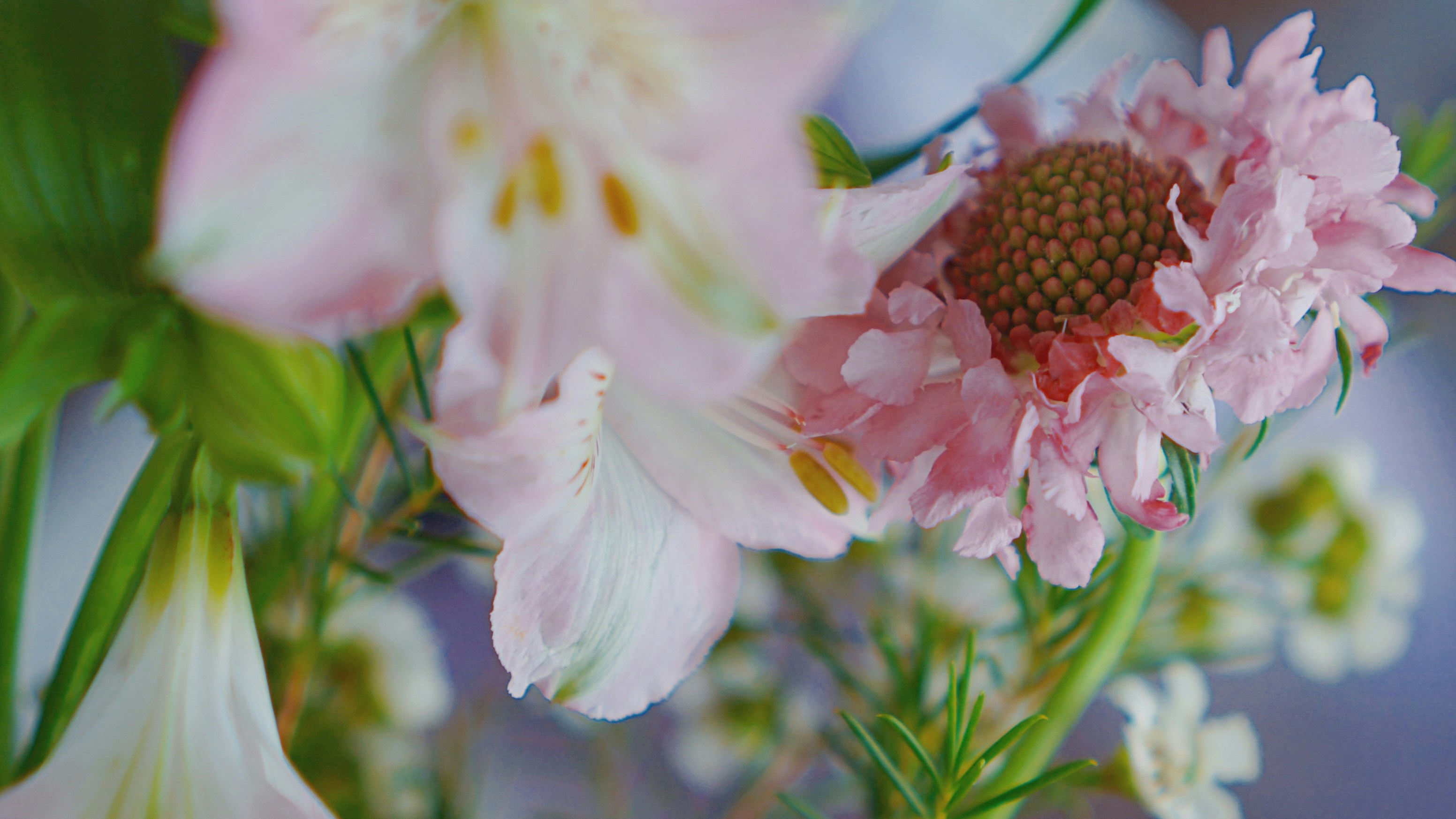 Photo by liaoweimeifang
