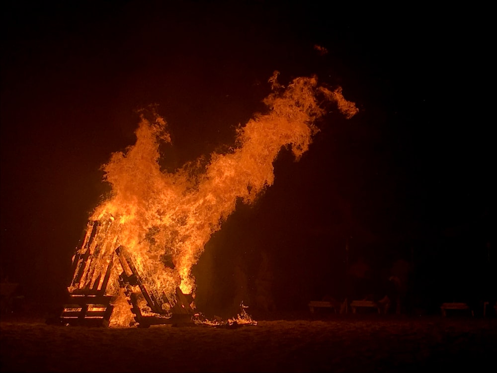 bonfire during nighttime