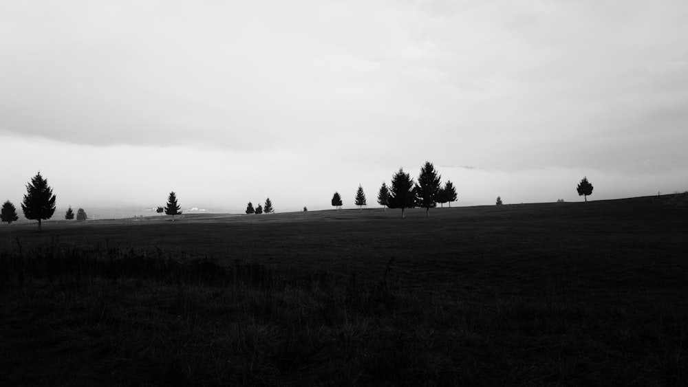 few trees scattered on grass field