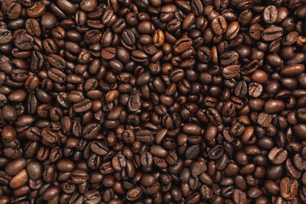 coffee beans