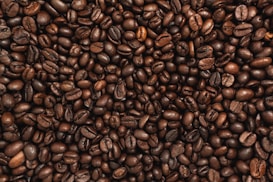 A close-up view of numerous roasted coffee beans, showcasing their dark brown color and glossy texture. The beans vary slightly in size and shape, with some showing light cracks.