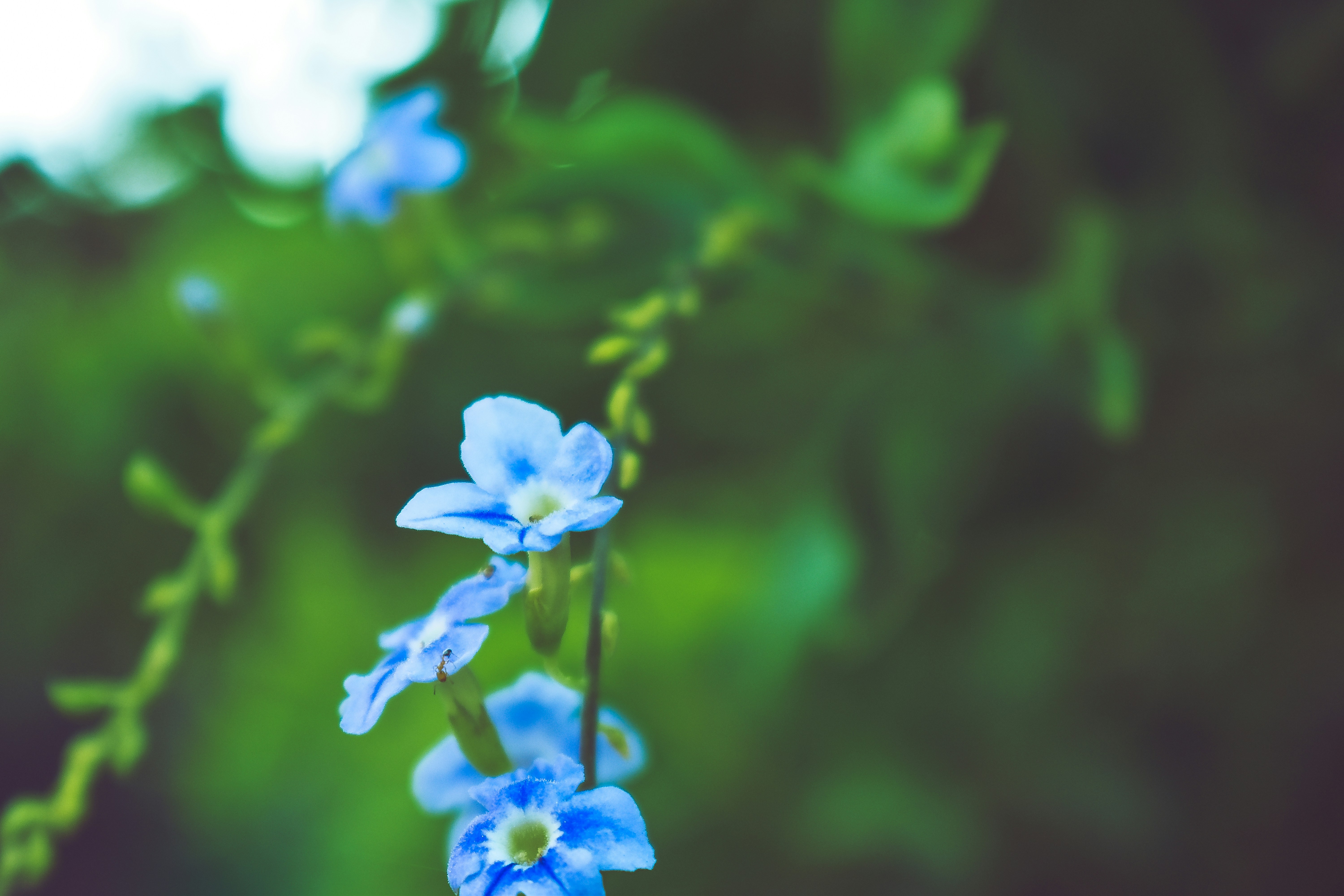 Photo by dynamicshots