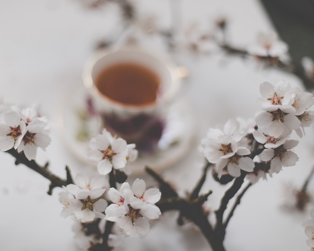 selective focus photo of cherry blossoms