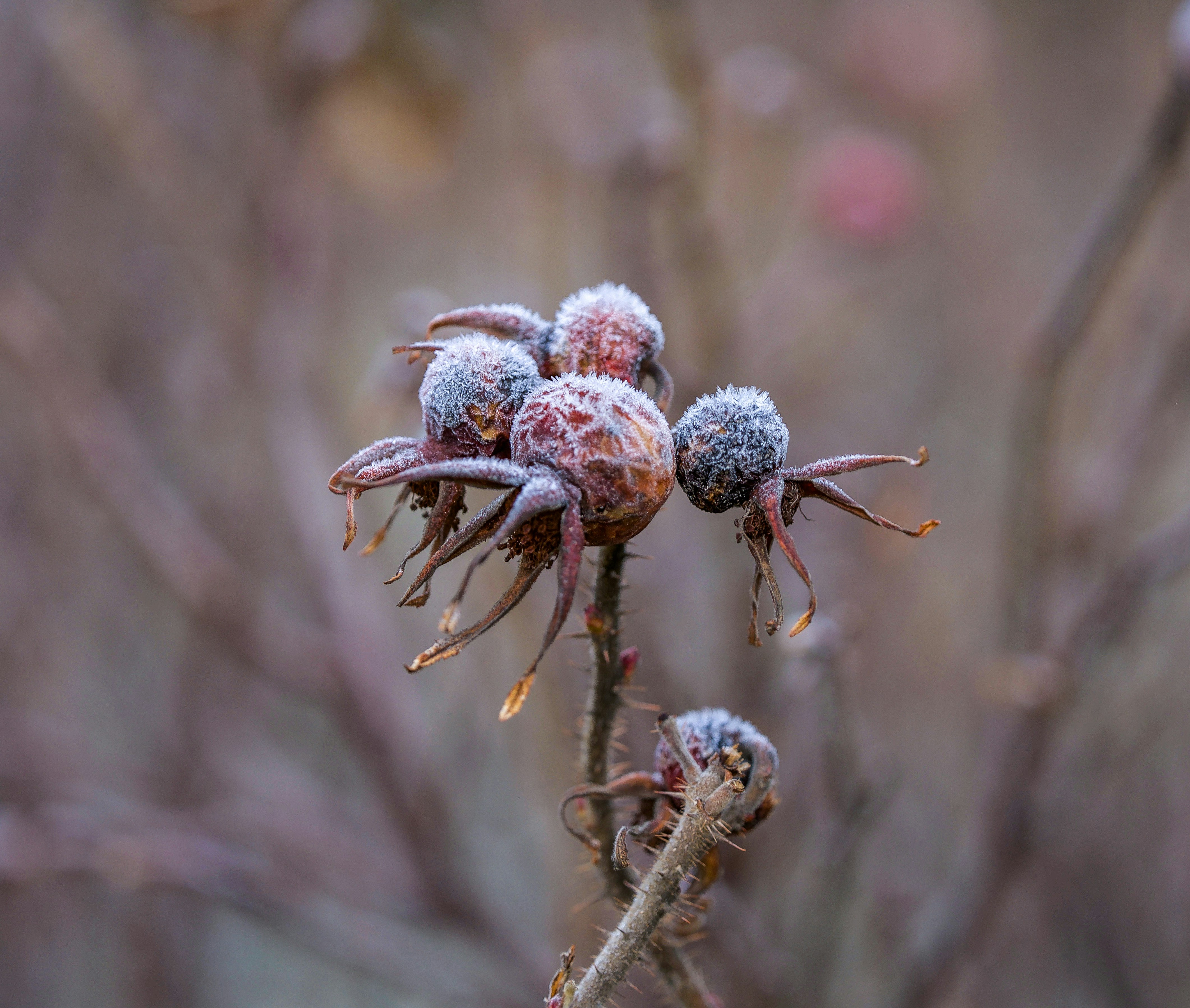 Photo by photosharing1000