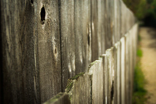 selective focus photo of wooden fence