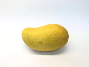 旧杂志与胶片盒