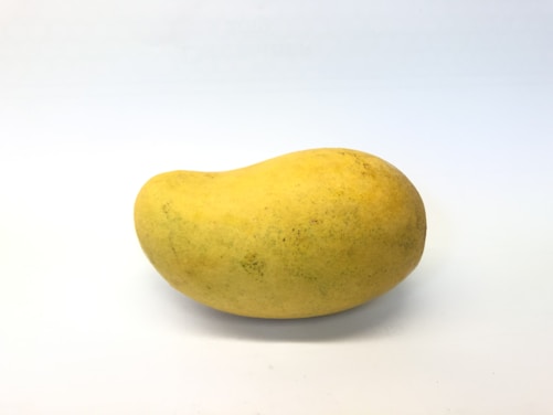 yellow mango