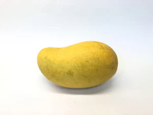 Ripe mango