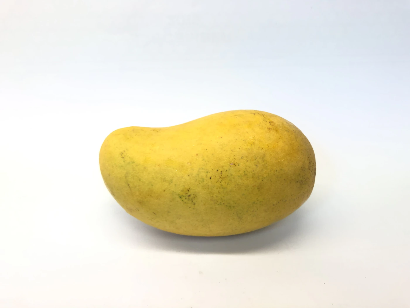 Fresh Indian mangoes for export