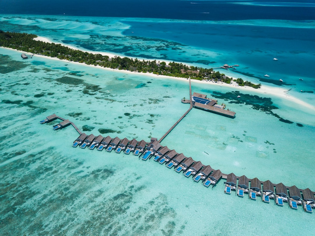aerial photo of beach resort