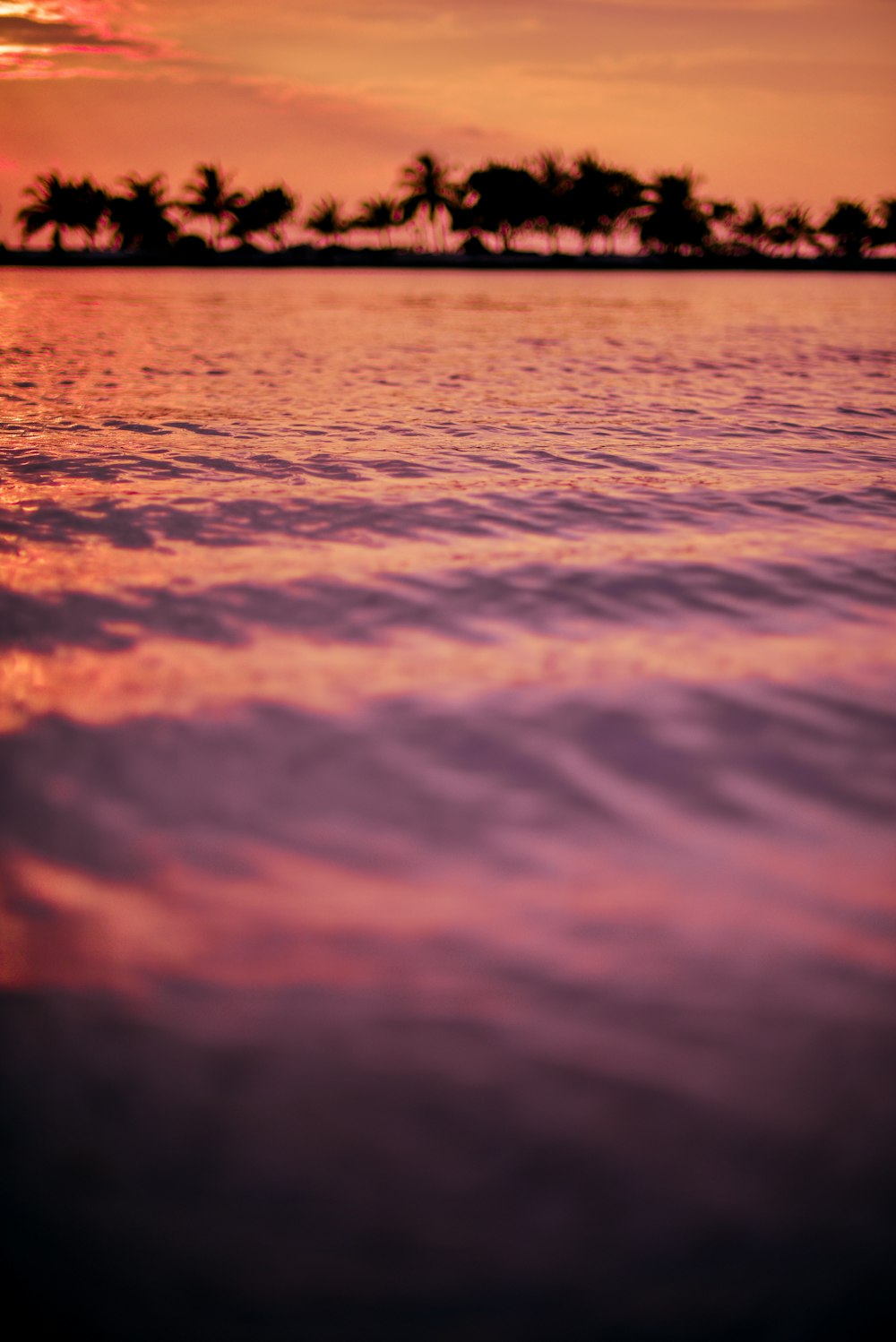 selective focus photography of body of water