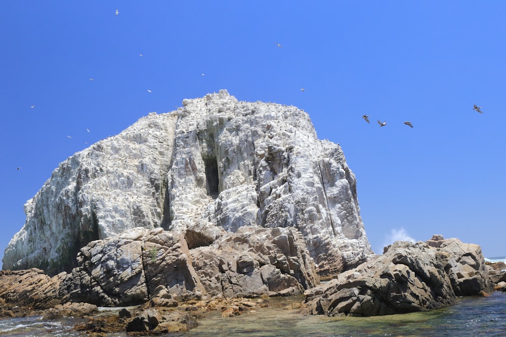 a rocky outcropping with seagulls flying over it
