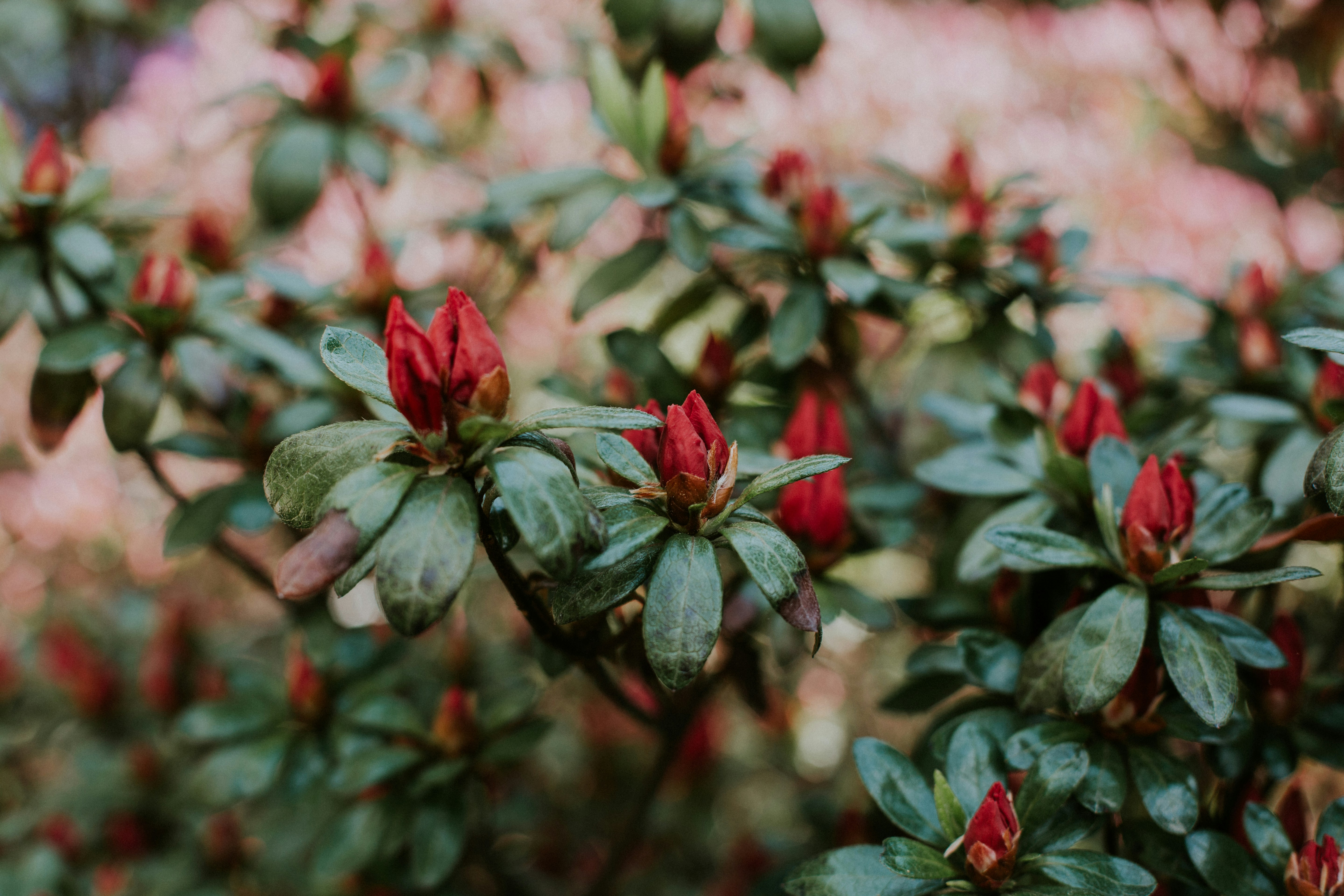 Photo by martafilipczyk