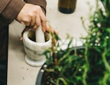 Hands gently preparing a herbal paste from ground roots and leaves.