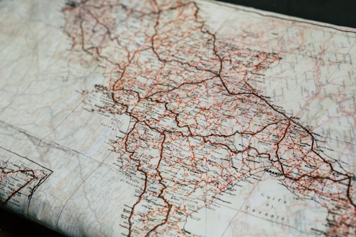 brown and black map