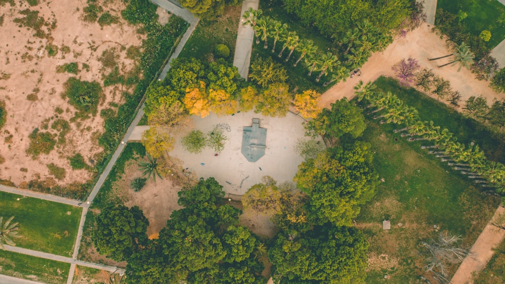 birds's eye photography of trees