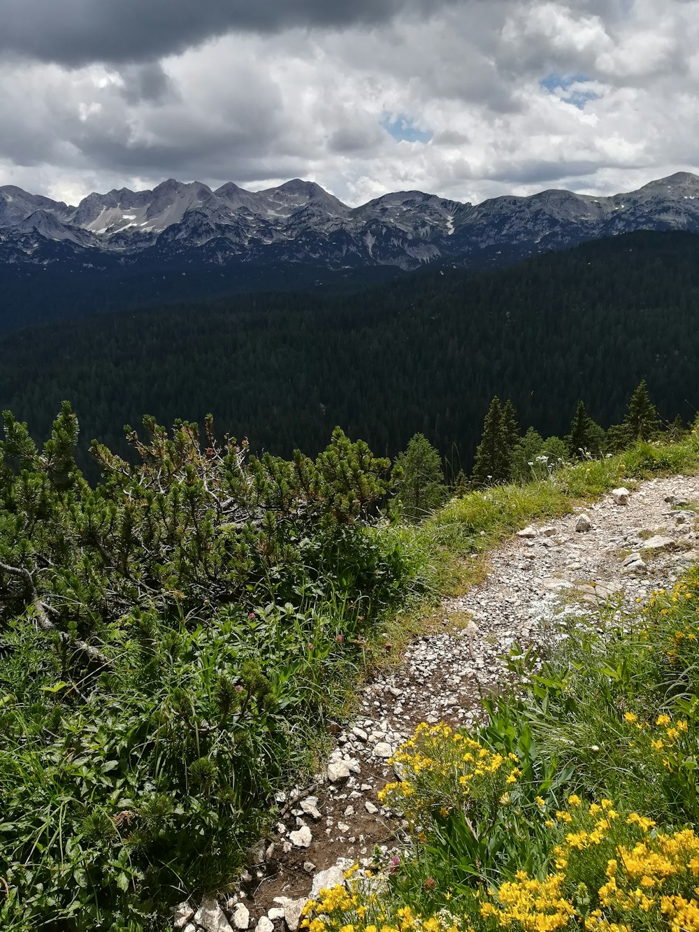 bird's eye photography of mountain