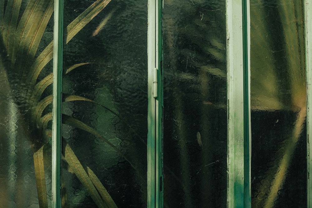 Eine Nahaufnahme eines Fensters mit einer Pflanze dahinter