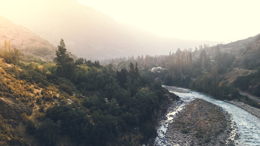 high-angle photography of trees near body of water