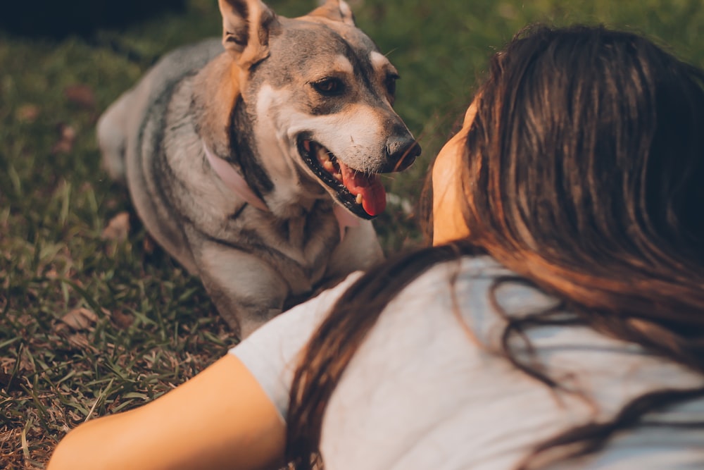 woman lying beside adult gray and tan dog