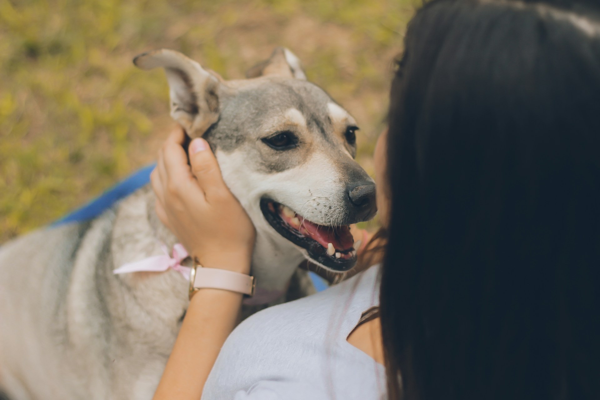 woman holding gray and white dog outdoor during daytime