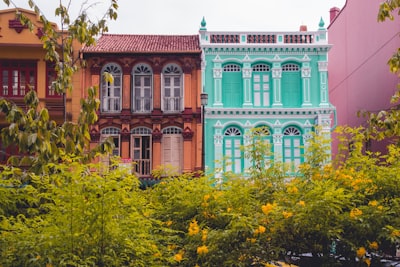 plants near buildings classicism zoom background