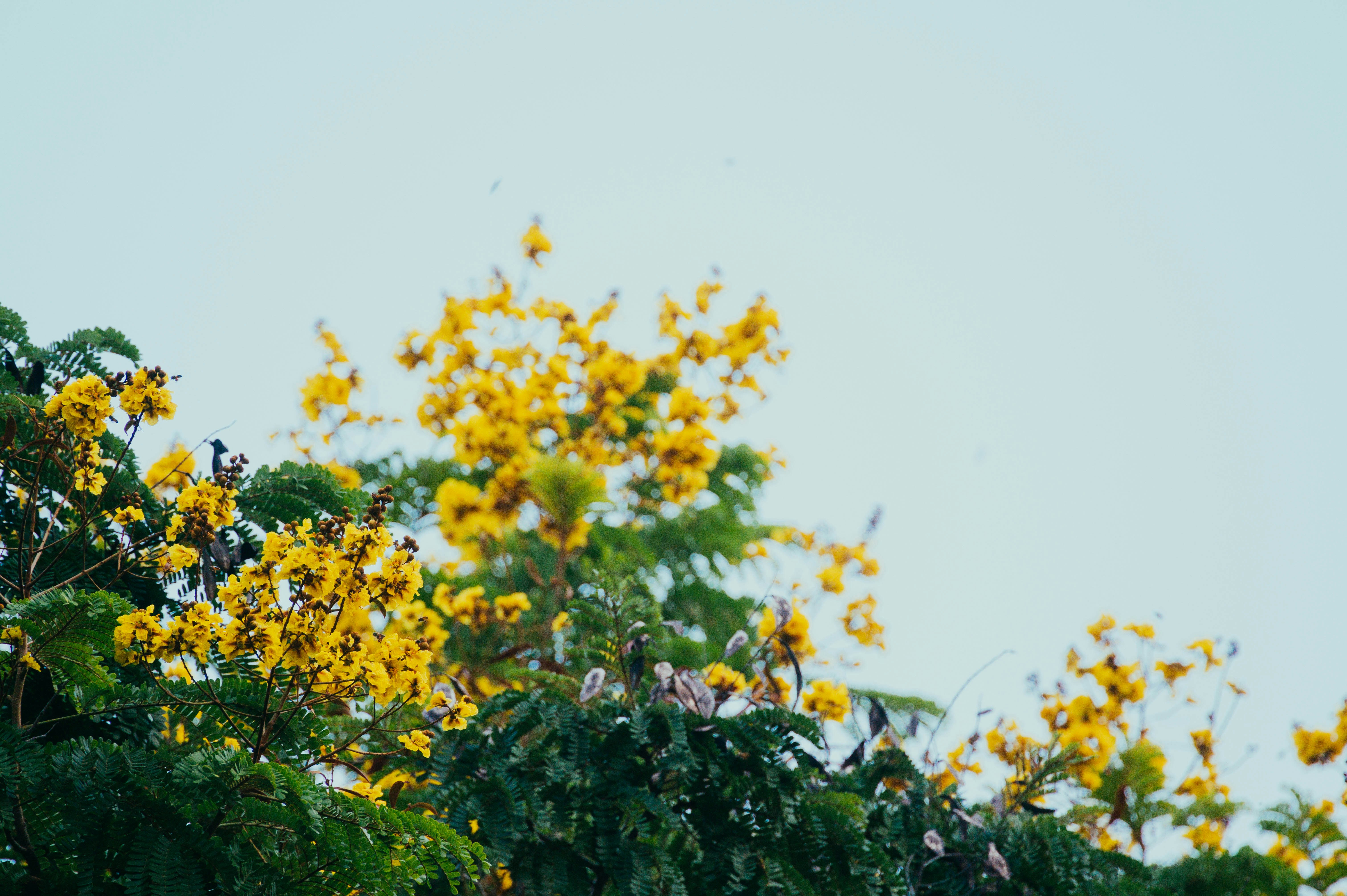 Photo by chuttersnap