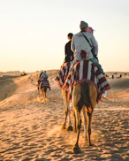 people riding camel at Sahara desert