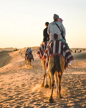 people riding camel at Sahara desert