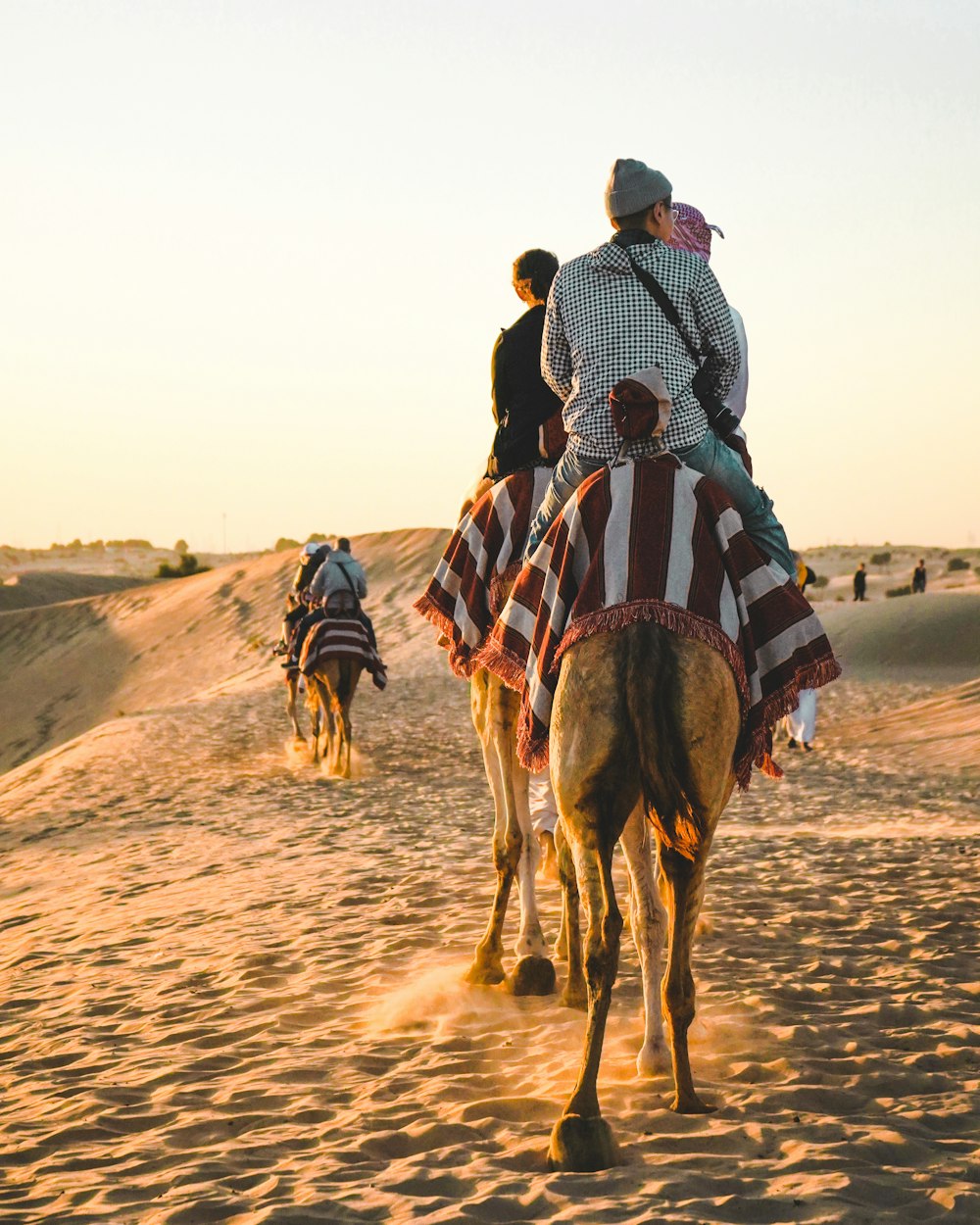 people riding camel at Sahara desert