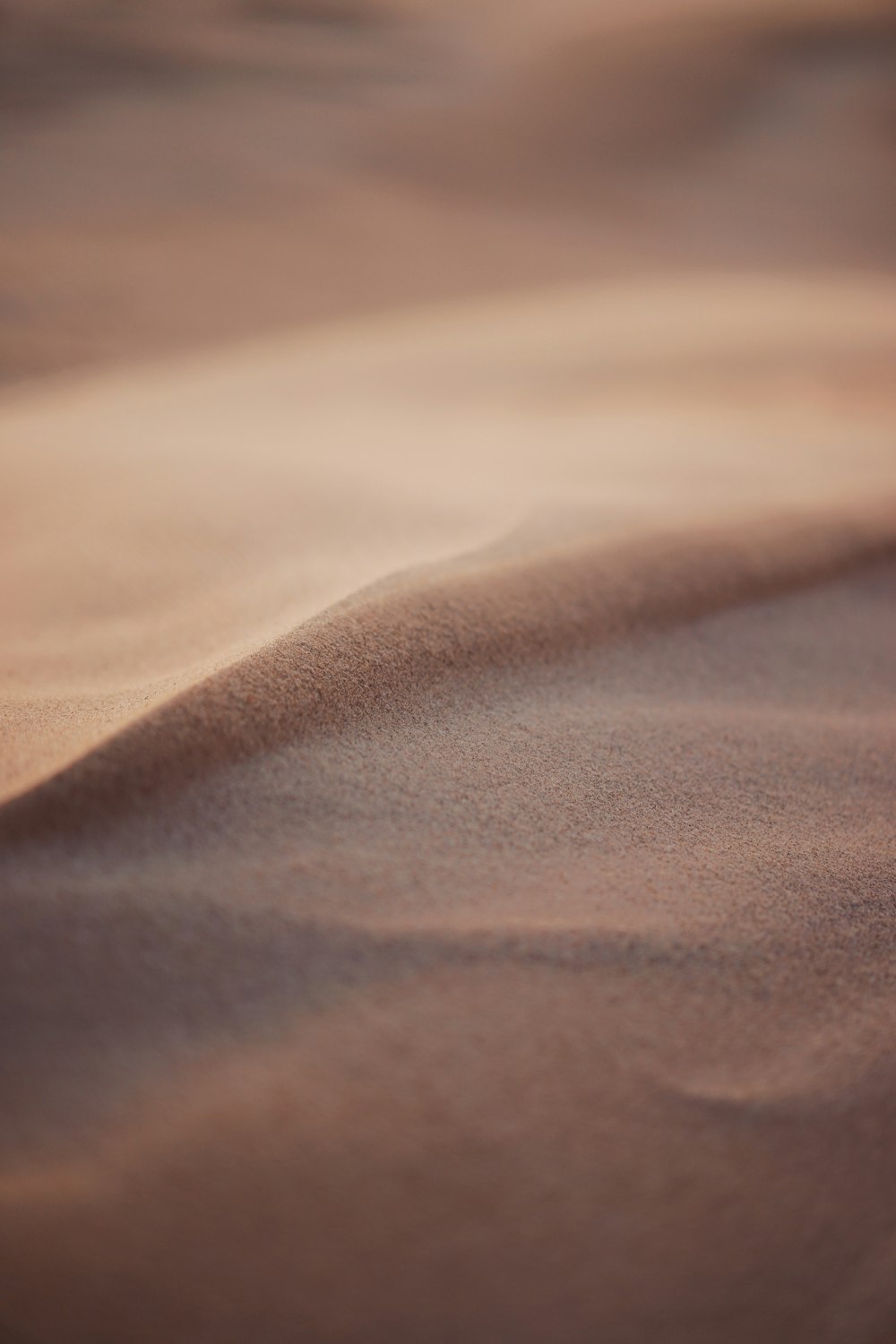 Una foto sfocata di una duna di sabbia